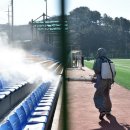 다이소 도동점 이미지