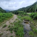 유치면사무소 이미지