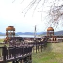 낙동강변20 이미지