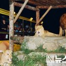 오월드 동물병원 이미지