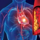 현대약품(주) 이미지