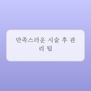 인생눈썹