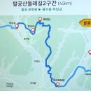 팔공산 둘레길 2구간 이미지