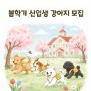 바우스쿨 네이버블로그