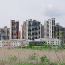 호수초등학교 이미지