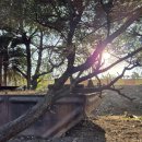 처음 시작하는 데이터 분석, 엑셀 이미지