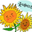 바래기암소한마리 이미지