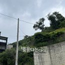 별을 다는 아이 | [양주]별을 다는 아이-나만 알고 싶은 캠핑장/양주캠핑장