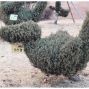 청소년푸른쉼터 화장실 이미지