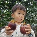 상헌농장 Daum카페
