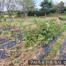 강화읍-15 이미지