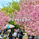 경주월드주식회사(경주지점) | 경주 여행 코스 추천 경주월드부터 월정교까지 1박 2일 놀거리 완벽 요약