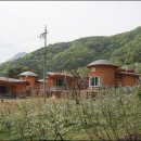 스머프마을 이미지