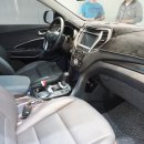 카멜레온 디테일 이미지