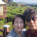 송호파크 이미지