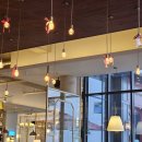 애플결혼정보 이미지