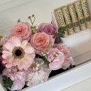 베이트리 이미지