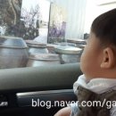 한배미농장 이미지