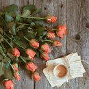 바람새마을 이미지