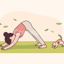 웰니스헬스 제이필라테스 요기요가 이미지