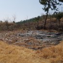 청홍농장 이미지