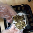 브리딩 팜 이미지