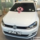 준모터스 포항 이미지