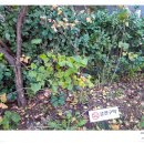 서현도서관 이미지