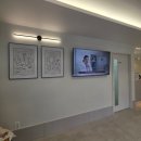 서울귀한이치과병원 | 마포 동물치과 오복동물치과병원 말티즈 치주염 스케일링 - 진료 후기