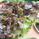 명성부대찌개 이미지