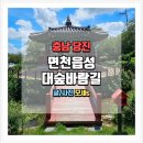 면천대숲바람길 | 충남 당진 당일치기로 다녀온 한적한 면천읍성 대숲바람길