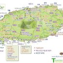 러블리스킨&바디 이미지