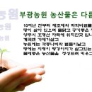 부광농장 이미지