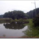 어은1리마을회관 이미지