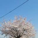 (주)엠코리아 이미지