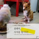 놀자 이미지