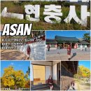 이봉상 신도비 | 아산 현충사 은행나무 지금이 절정