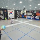 노은태권도 이미지