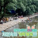 거락마을회관옆 네이버블로그