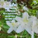 고운빛줄기님 ~~♡♡ 이미지