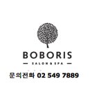 탠디수지