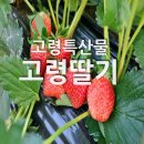 당골농장 이미지