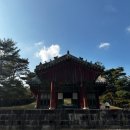 파주삼릉점 | 파주 단풍 명소 아이와나들이 파주삼릉 후기