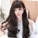 플랜트 이미지