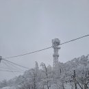 자모목장 네이버블로그
