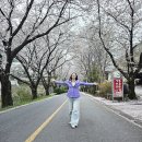 힐링 건강체조 실버라인댄스(65세이상) | 4월 역량강화 웃음치료 레크레이션 실버체조 실버라인체조 실버인지놀이 실버요가 실버통합자격증 과정!!