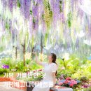 인터넷바둑티브이(주) | 서울 근교 가평 가볼만한 곳 가평베고니아새정원 입장료 할인 주차 후기