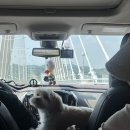 이아빌리지2 이미지