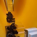 은평검도장 이미지