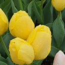 미르부동산공인중개사사무소 이미지